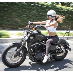 BURLY SLAMMER 10,5 Zoll Stoßdämpfer chrom f. Harley Davidson Sportster 04-20 TÜV