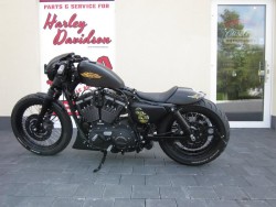 EIGHTBALL CUSTOM® Cafe Racer Fender für Harley Davidson Sportster