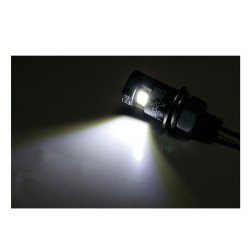 SHIN YO LED Kennzeichenbeleuchtung Schraube für...