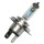 PHILLIPS H4 Glühlampe 12V 60/55W P43t City Vision Lampe für Harley & Motorrad