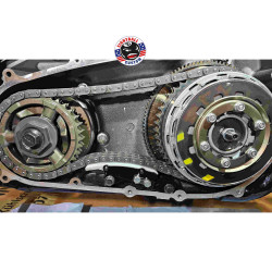 Kettenspanner für Harley Twin Cam 2007-2017 Nylon Schuh Entspricht OEM 39929-06B