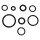 O Ring Set für Harley Davidson Wartung Delphi EFI Einspritz Kraftstoffleitungen