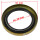 Simmering Kurbelwelle Sprocket Shaft für Harley Sportster XL 77-03 ers. 35151-74