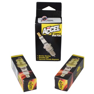 ACCEL Zündkerze Platinspitze f. Harley Davidson Twin Cam 99-17 XL 86-22 ers 6R12