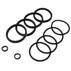 Bremssattel Dichtung Kit für Harley Big Twin...