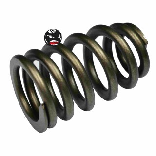 Harley-Davidson Ventilfeder Valve Spring Twin Cam Sportster normal 18245-02