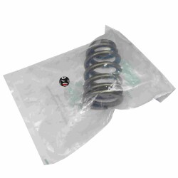 Harley-Davidson Ventilfeder Valve Spring Twin Cam Sportster normal 18245-02