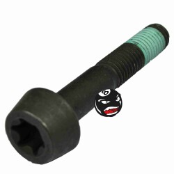 Harley Davidson Schraube für Sprocket Shaft 9/16-12...